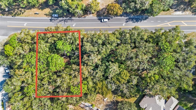 25841 State Road 46, Sorrento, FL 32776 - photo 6