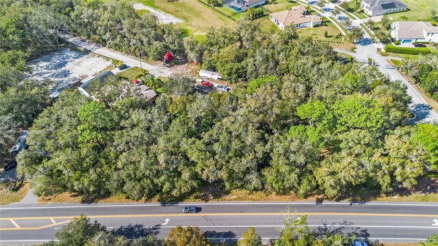 25841 State Road 46, Sorrento, FL 32776 - photo 8