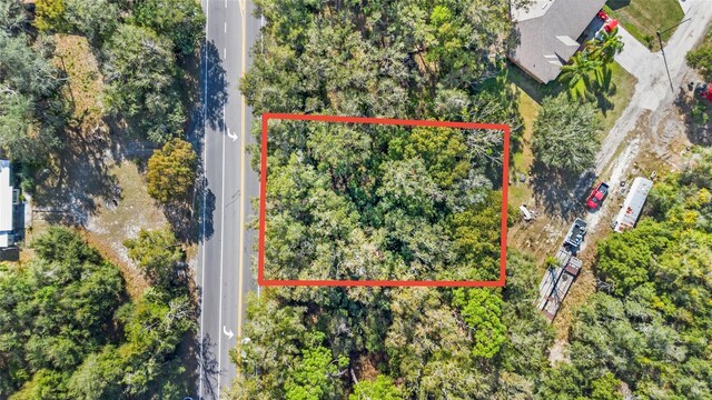 25841 State Road 46, Sorrento, FL 32776 - photo 10