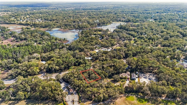 25841 State Road 46, Sorrento, FL 32776 - photo 17