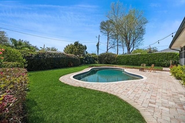 view of swimming pool featuring a fenced in pool, a lawn, and a patio area