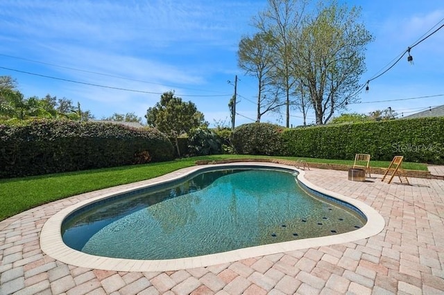 view of swimming pool featuring a patio area, a fenced in pool, and a fenced backyard