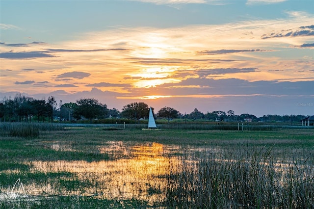 nature at dusk with a rural view