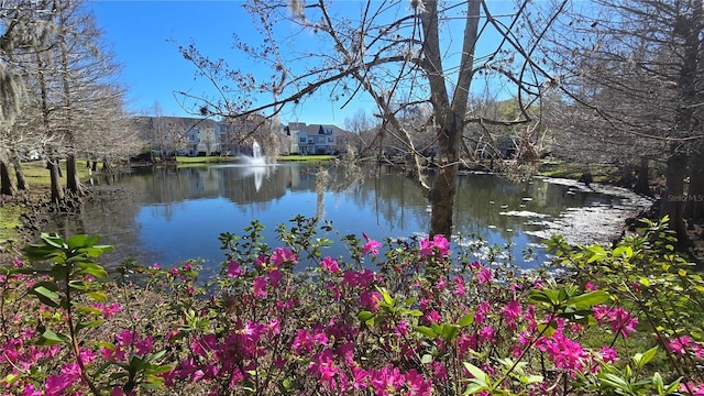 136 Mcleods Way, Winter Springs, FL 32708 - water view