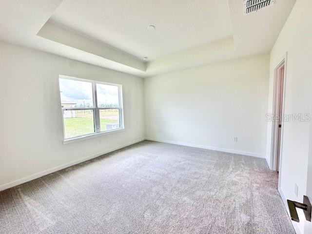 3225 Cup Dr, Lakeland, FL 33803 - unfurnished room with a raised ceiling, carpet flooring, and baseboards
