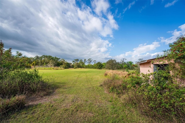 view of yard with a rural view