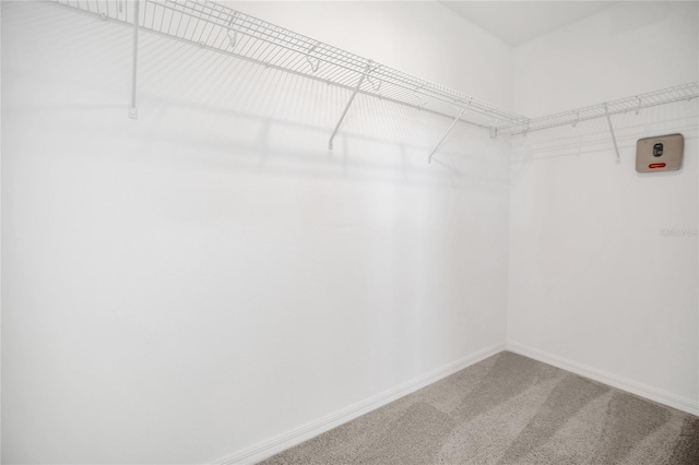 1620 Pelican Dr, Davenport, FL 33896 - spacious closet with carpet flooring