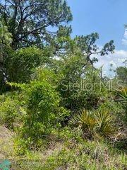 222 Vireo Ave, Sebring FL, 33870 land for sale