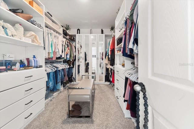 walk in closet with light colored carpet