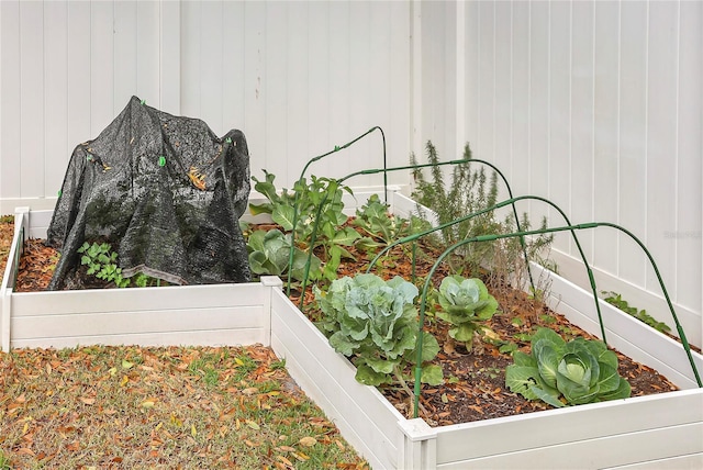 exterior view of a vegetable garden