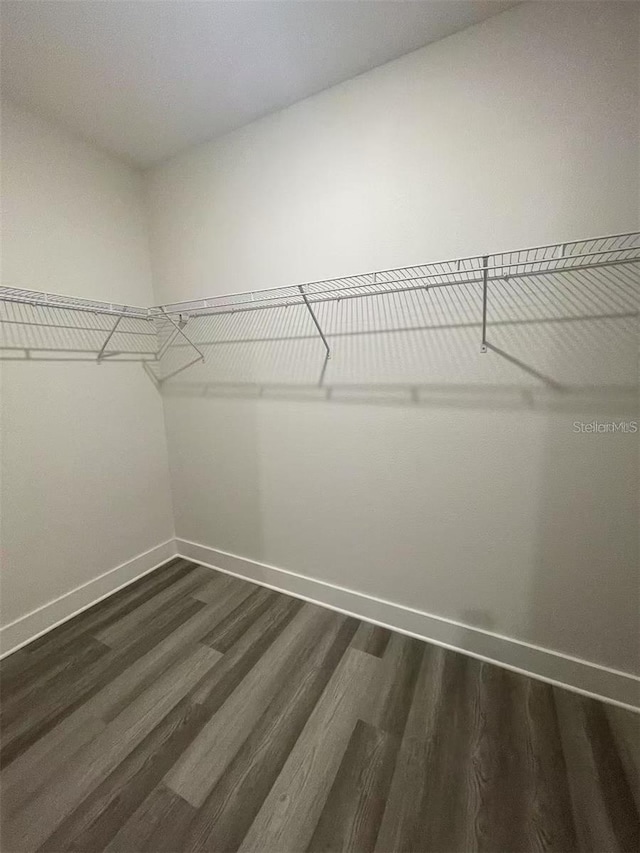 spacious closet with dark wood-type flooring