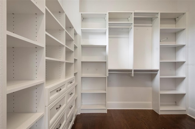 spacious closet featuring dark wood-style flooring