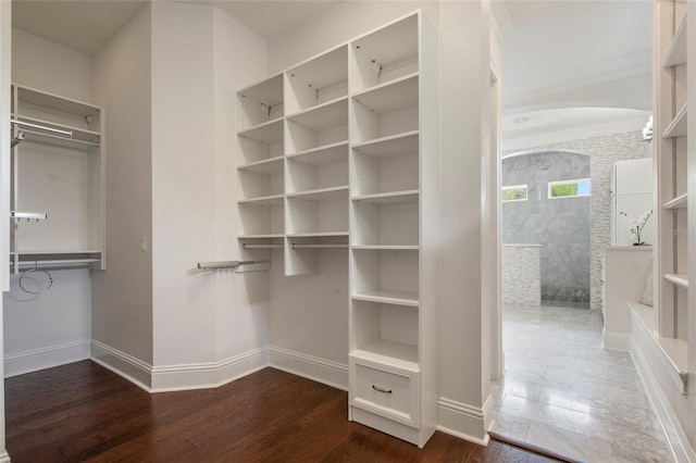 spacious closet featuring dark wood finished floors