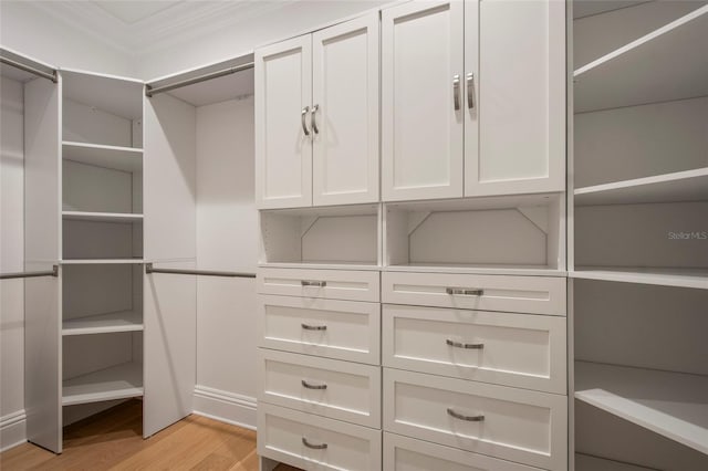 walk in closet with light wood-type flooring