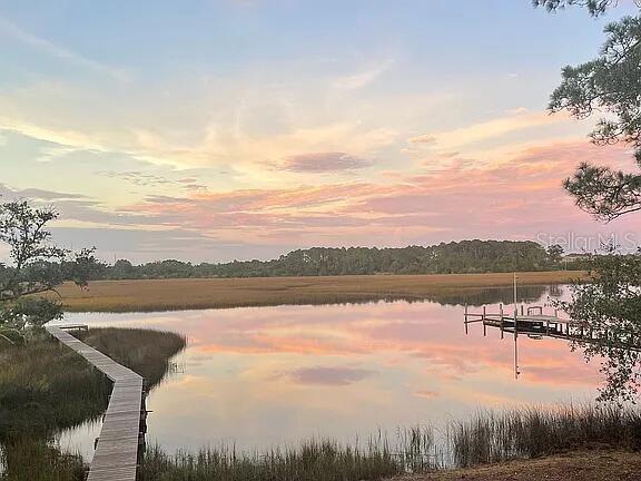 water view featuring a dock