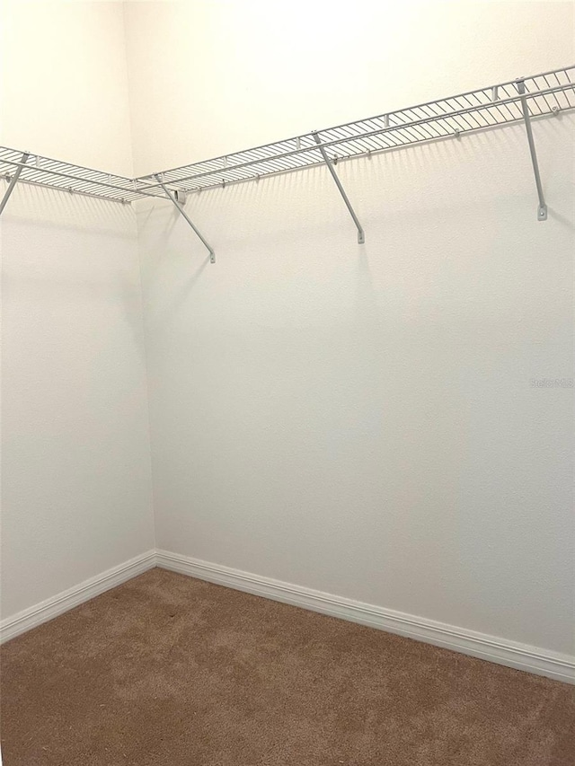 walk in closet with carpet