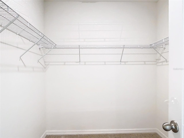 view of walk in closet