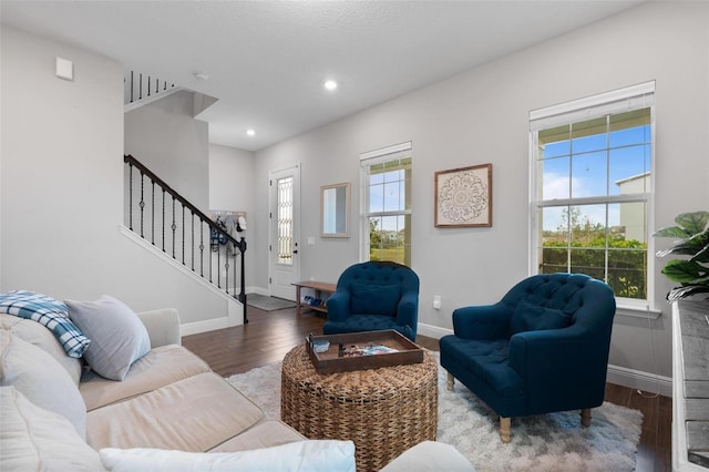 living room featuring hardwood / wood-style flooring