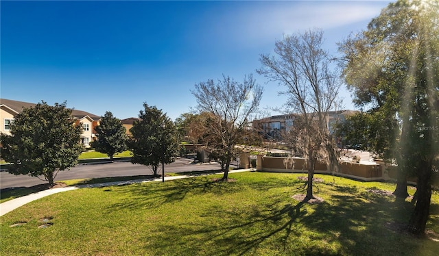 view of community featuring a yard