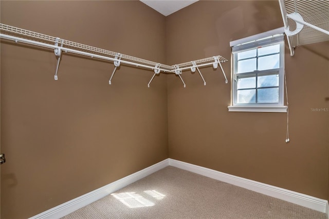 walk in closet with carpet