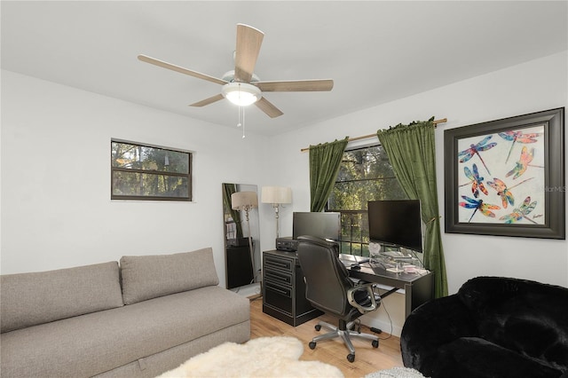 home office featuring ceiling fan and light hardwood / wood-style floors