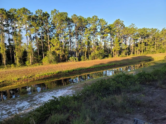 Quarterly Pkwy, Orlando FL, 32833 land for sale