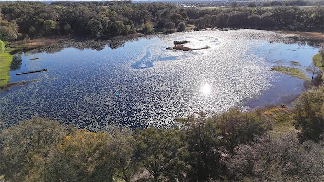 aerial view featuring a water view and a forest view