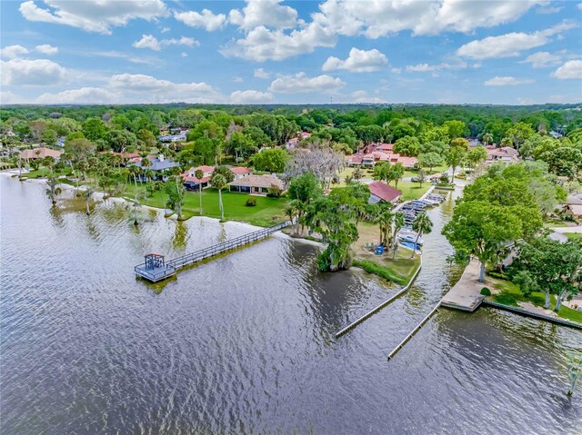 303 Waterwood Dr, Yalaha, FL 34797 - photo 74