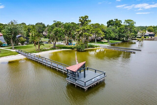 303 Waterwood Dr, Yalaha, FL 34797 - photo 71