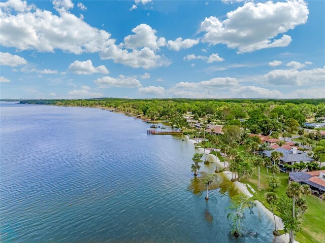 303 Waterwood Dr, Yalaha, FL 34797 - photo 59