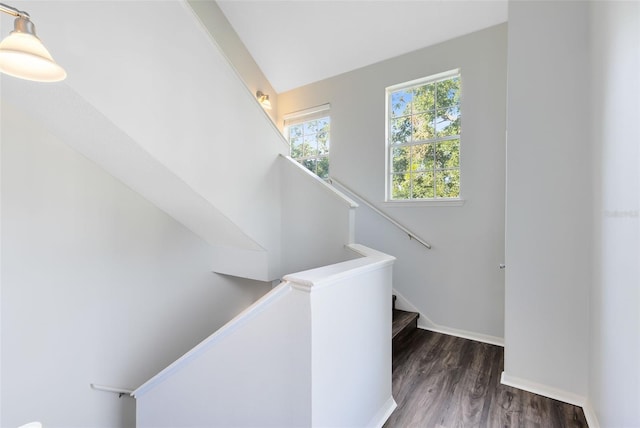 stairway featuring wood-type flooring