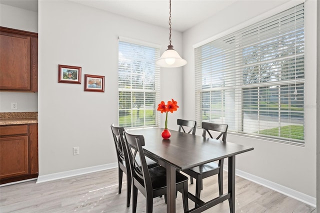 dining area with light hardwood / wood-style floors