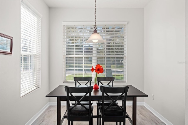 dining room with light hardwood / wood-style flooring and a wealth of natural light