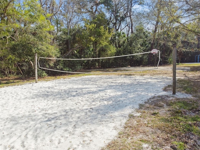 surrounding community featuring volleyball court