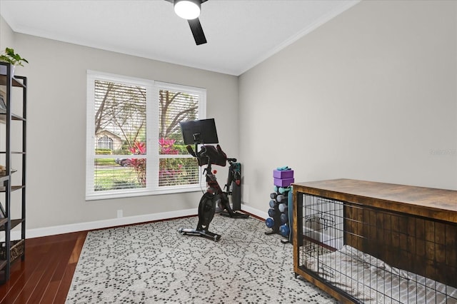 exercise area with crown molding, ceiling fan, wood finished floors, and baseboards