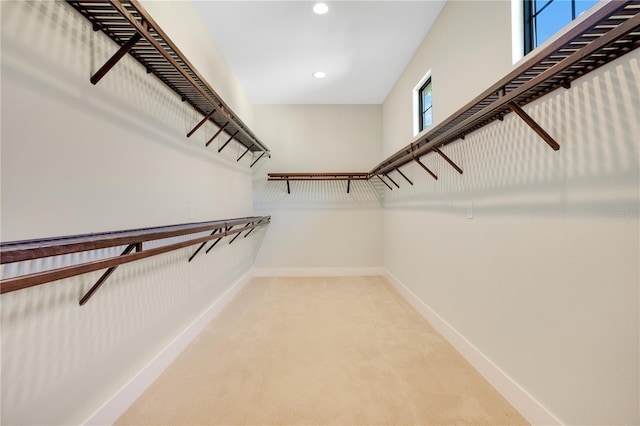 walk in closet with carpet flooring