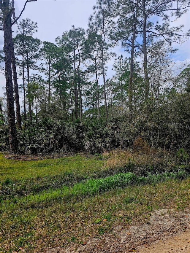 Listing photo 2 for E Pkwy, Deland FL 32724