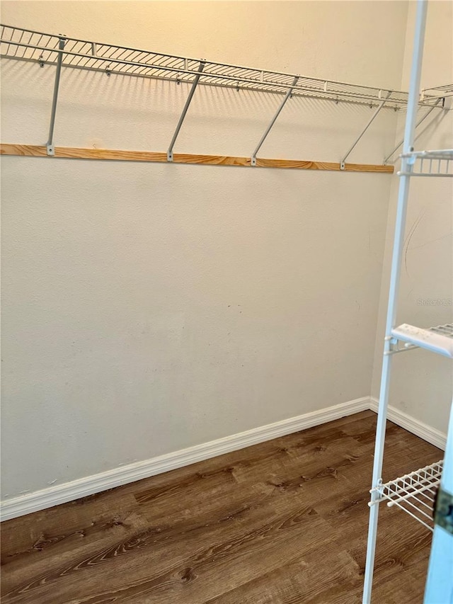 spacious closet featuring wood finished floors