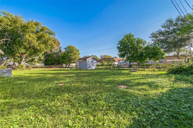 view of yard featuring a shed