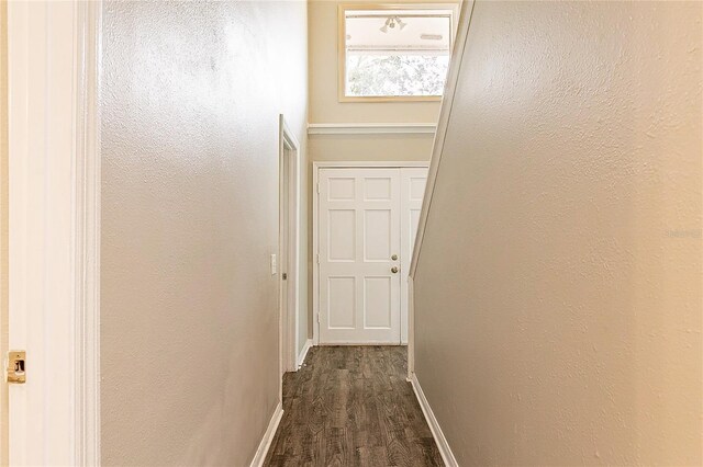 hall featuring dark wood-style floors and baseboards