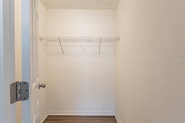 spacious closet featuring dark wood-style flooring