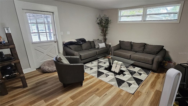 living room with hardwood / wood-style flooring and a wealth of natural light