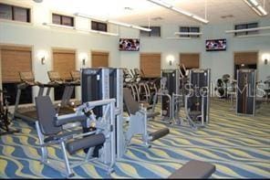 exercise room featuring carpet flooring