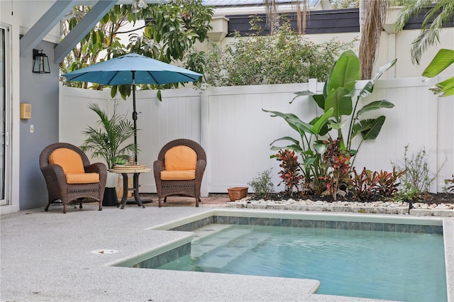 view of swimming pool with a fenced in pool and a fenced backyard