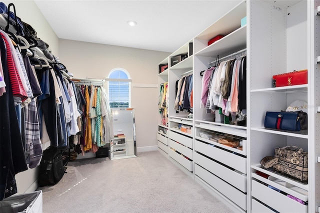 spacious closet with light carpet