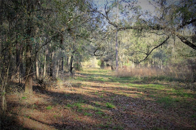 C R 772b, Webster FL, 33597 land for sale