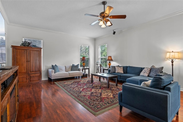 living room featuring dark wood-type flooring, a ceiling fan, and ornamental molding