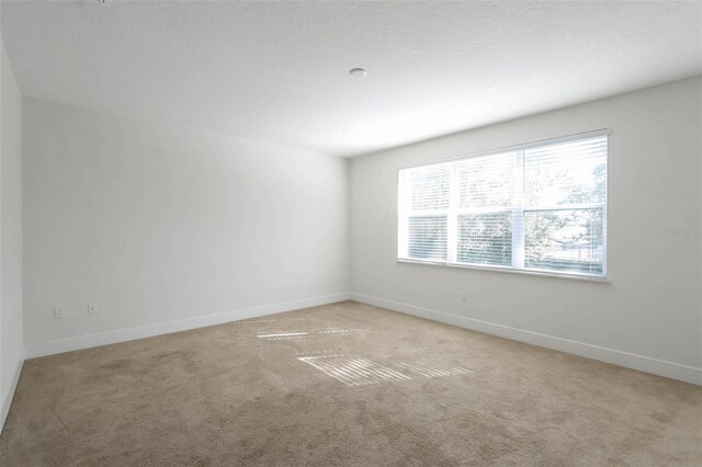 17442 Hidden Forest Dr, Clermont, FL 34714 - unfurnished room with carpet flooring and baseboards