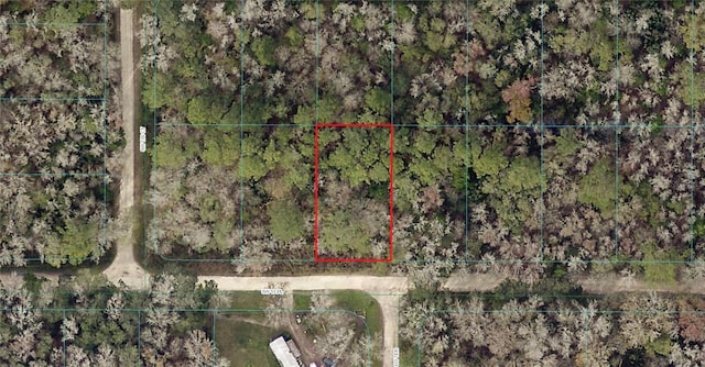 SW 13th Pl, Ocala FL, 34481 land for sale