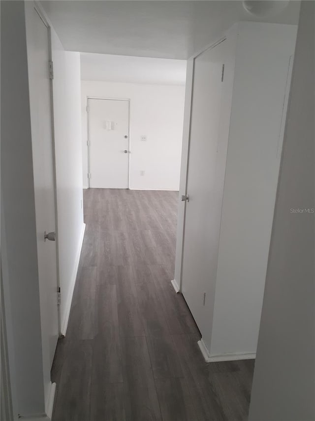 corridor featuring dark wood-style flooring